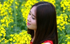 快乐无忧四叶草